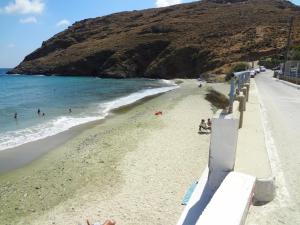 Cozy Citrus Garden House by the Seaside. Andros Greece