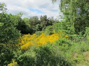 Holiday Home Holmehøj