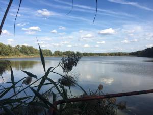 Maisons de vacances «De Brique et De Bois» Lac Du Der : photos des chambres