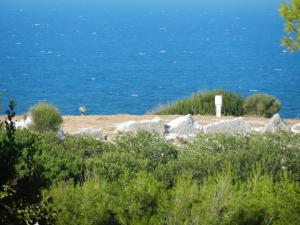 Tenuta Molino di Mare- Ecoresort