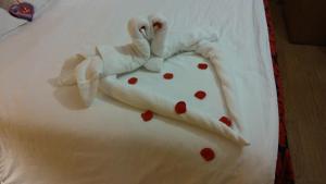 Double Room with Romantic Package  room in Hotel Durao