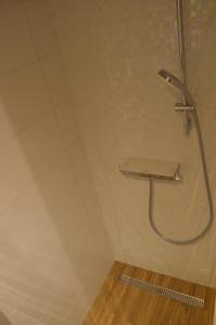 Apartments Ostanek 2