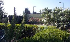 Casa Rural con jacuzzi y pista de padel - Casa de Pacas