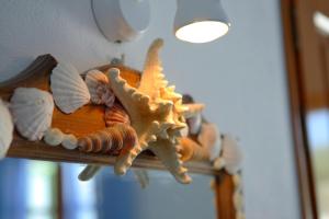Elena Studios & Apartments Paros Greece
