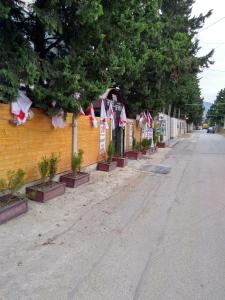 Guesthouse Star Georgia