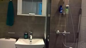 Piriko City Centre Apartment