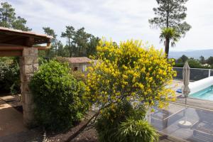 Maisons de vacances Les Cledes du Mazel : photos des chambres