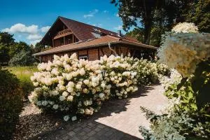 Pension Lehnigksberg - 施莱普齐希