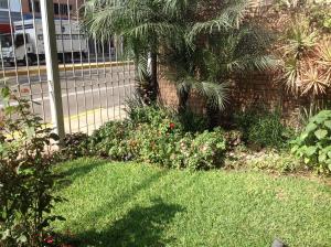 Room 5 Star Miraflores