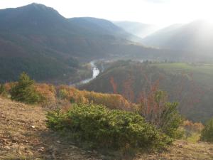 Hotels Le Vallon : photos des chambres