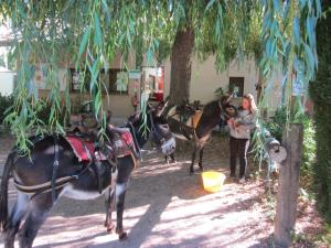 Hotels Le Vallon : photos des chambres