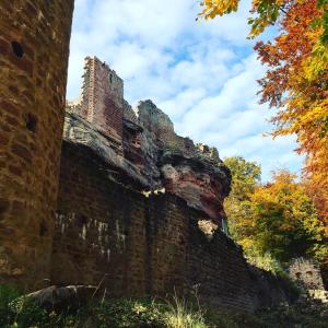 Appartements Meubles de Tourisme Heidelbeere : Appartement 2 Chambres