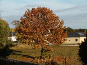 Ferienwohnung im Neubauernweg 3