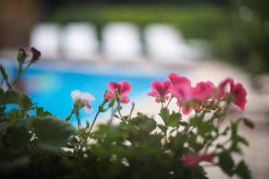 Appartements Villa des Olives : photos des chambres