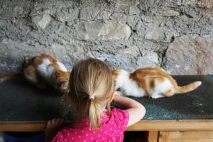 KENDLGUT Appartements am BioBauernhof inklusive unbegrenztem Eintritt in die Alpentherme