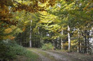 Apartamentos Rurales Casa Baltasar