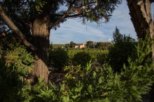 Hotels Hotel Castel Saint Anne : photos des chambres