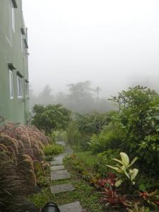 Green View 104 Khao Kho