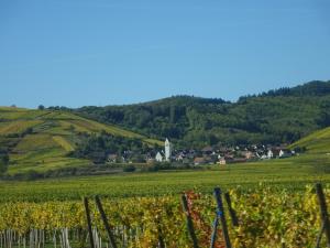 Maisons de vacances Ecologis du Vignoble : photos des chambres