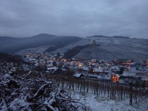 Maisons de vacances Ecologis du Vignoble : photos des chambres