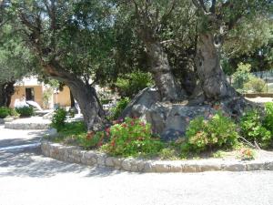 Appartements Residence Motel Corsicana : photos des chambres