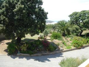 Appartements Residence Motel Corsicana : photos des chambres