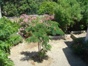 Appartements Residence Motel Corsicana : photos des chambres