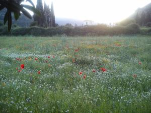 Countryside Studios Kefalloniá Greece