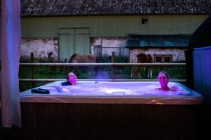 Ölands Yoga Studio & Islandshästar, Stugor & Rum