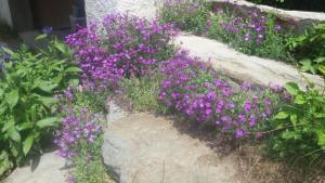 Chalets Chalet La Nanda Devi : photos des chambres