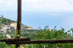 Junior Suite with Sea View room in Agriturismo Fattoria Terranova