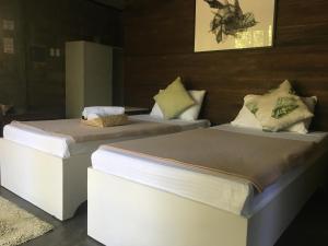 Teds Bed and Breakfast