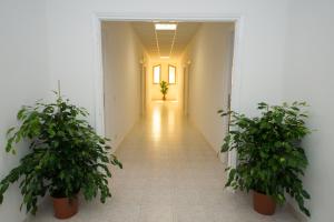 Ostello San Luigi Orione