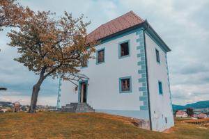 Wine Grower's Mansion Zlati Gric 