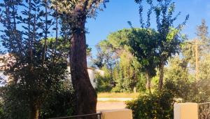 Appart'hotels Bungalows Filippi : photos des chambres