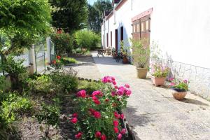 Maisons de vacances Gite de Closeure : photos des chambres