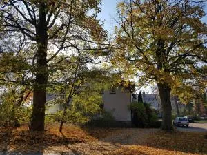 Apartament nr 3 w Starym Nadleśnictwie - 科希切日纳