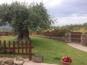 Turismo Rurale Belvedere Pradonos img14