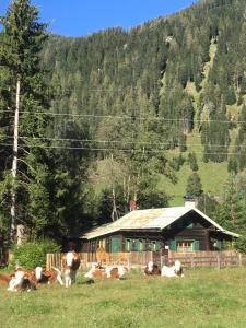 Knusperhauschen Sonnegg - Ubytování bez kategorie ve městě Flachau