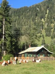 Knusperhauschen Sonnegg - 扎奥岑湖