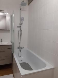 Le Vaillant, appartement T2, proche gare, hyper-centre et marais, 1 à 2 personnes, WIFI