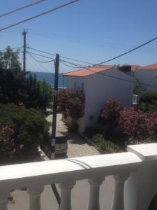 Karin & Nikos Samos Greece