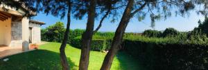 Villa vista mare con piscina img13