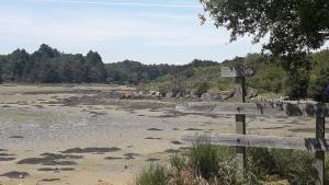 Maisons d'hotes Back To Breizh : photos des chambres