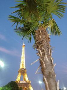 EIFFEL TOWER Home in Paris