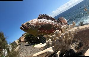 Apartamento vacacional