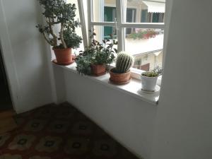 Apartman Matea