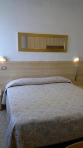Standard Double or Twin Room room in Hotel Erika