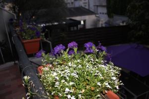 Maisons de vacances Champoiseau : photos des chambres