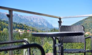 SinaiaMountainView - Vista